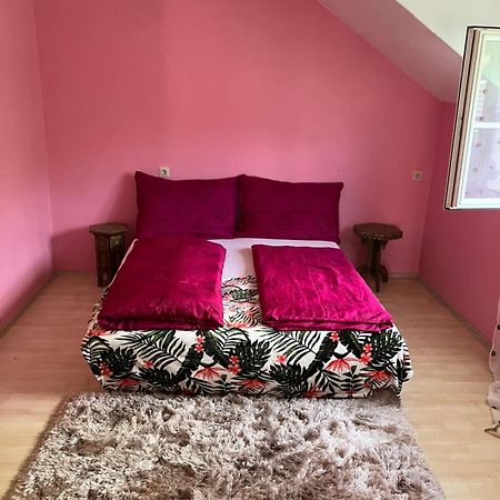 Untersberg Und Festungsblick Appartement Puch bei Hallein Buitenkant foto